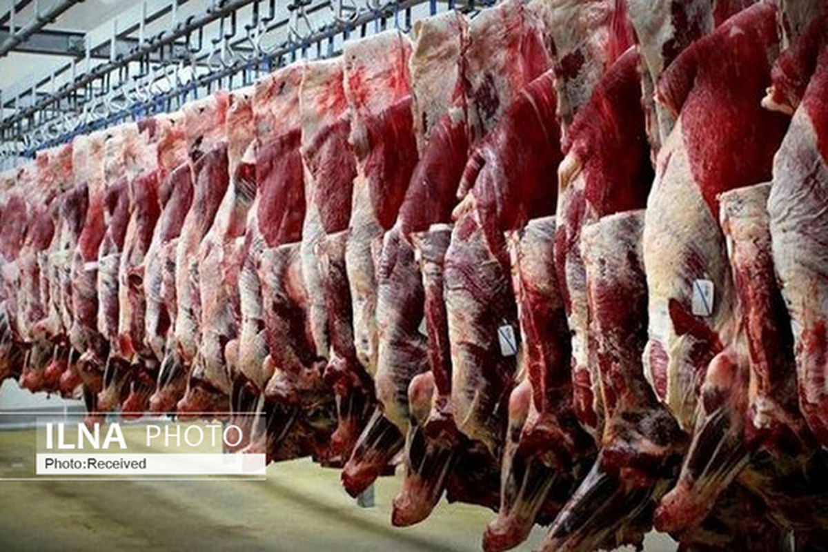 افزایش ۱۵ هزار تومانی قیمت گوشت گوسفندی/ صادرات دام در ماه‌های پایانی سال منطقی نیست