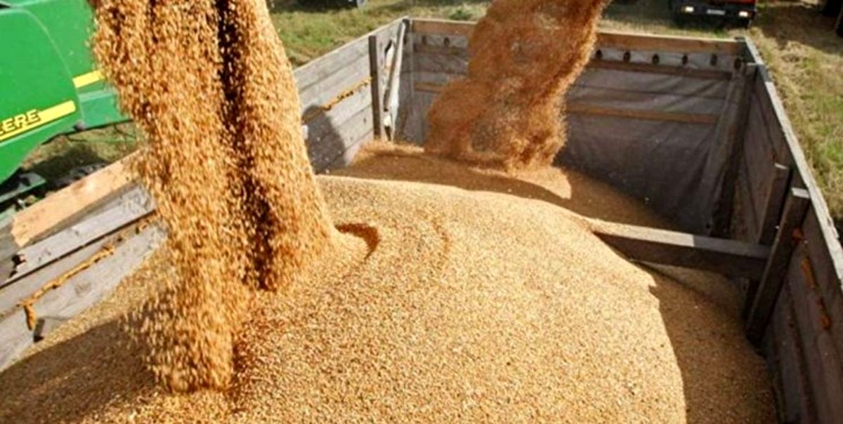 مدیریت آرد و نان به وزارت جهاد واگذار شود