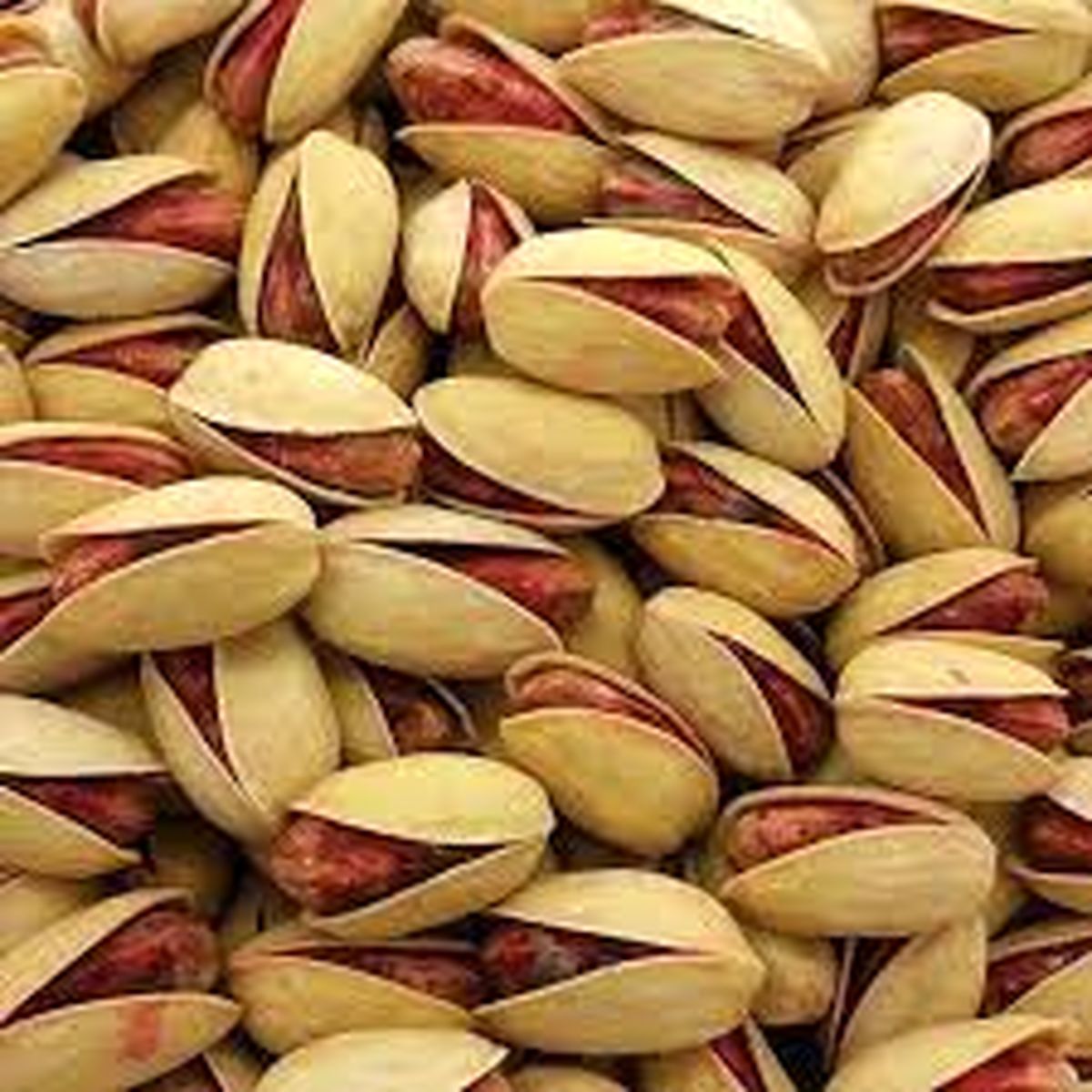 تولید پسته در سال جاری  ۷۰ هزار تن کاهش یافت
