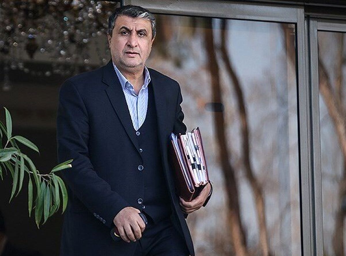 اسلامی: آژانس نباید بازیچه گروه‌های تروریستی باشد
