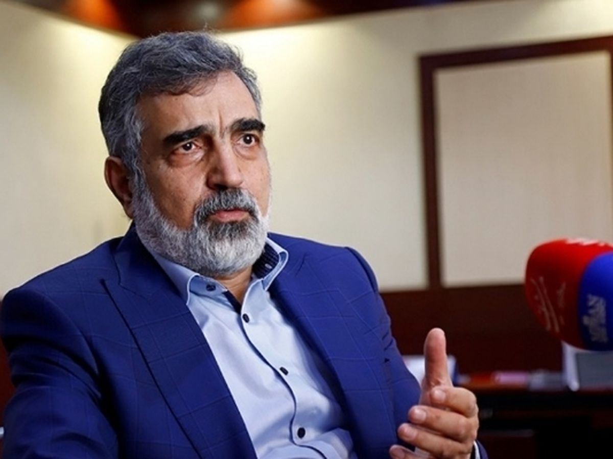 سخنگوی سازمان انرژی اتمی: دسترسی آژانس به افراد در مراکز هسته‌ای صحت ندارد