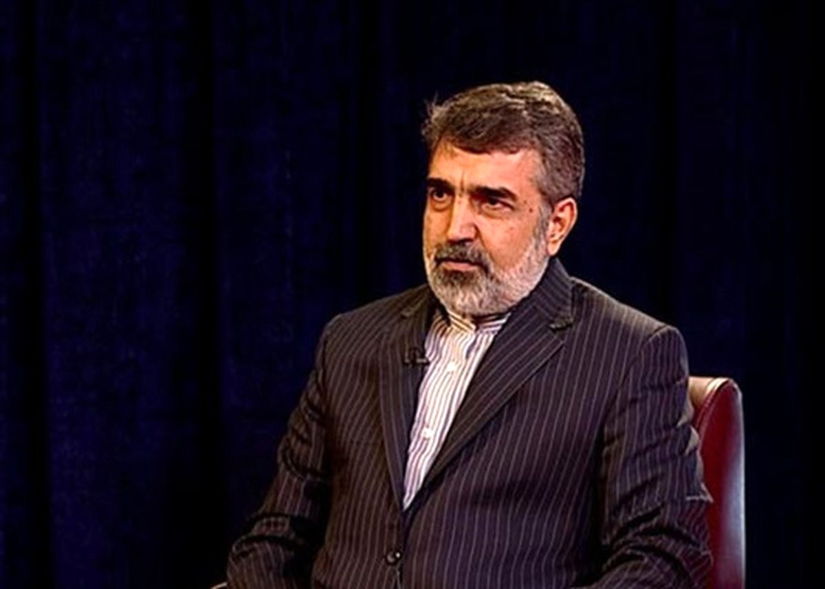 سخنگوی سازمان انرژی اتمی: درمورد سه مکان ادعایی مطرح شده توسط آژانس، توافق کردیم