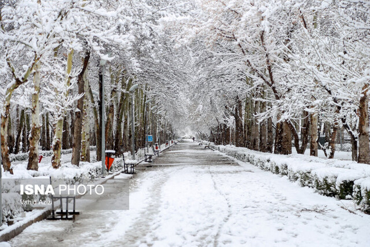 بارش برف و باران در اکثر نقاط کشور/ کاهش موقتی دما