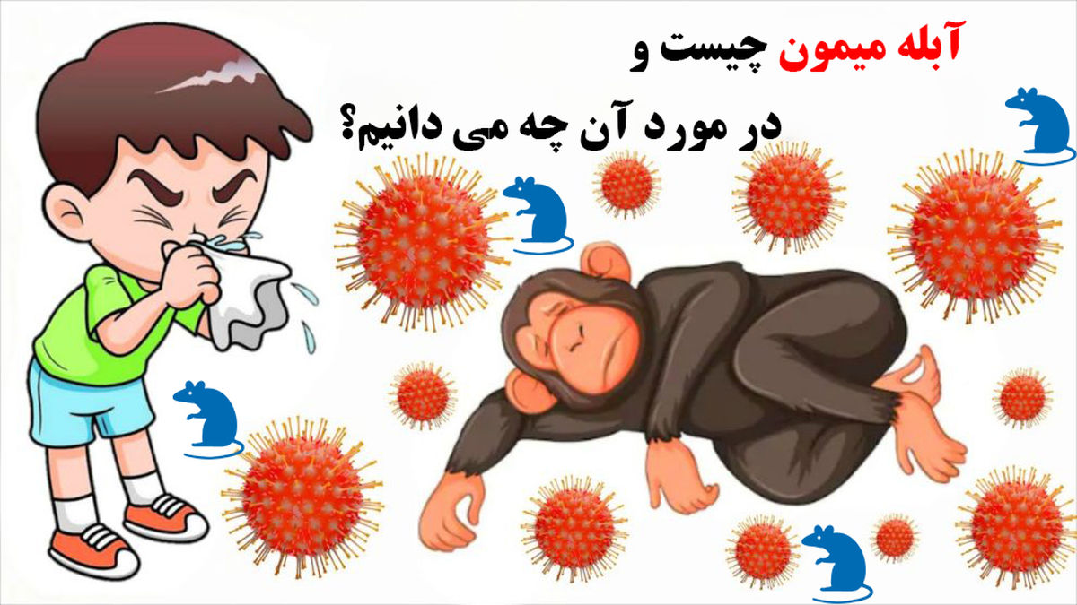 آبله میمون چیست و چقدر خطرناک است؟
