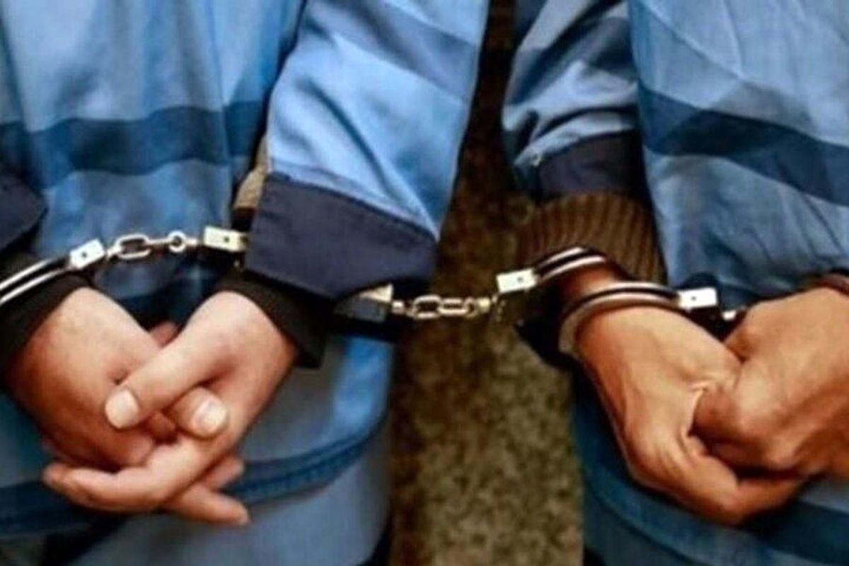 بازداشت ۲ مدیر محیط زیستی به دلیل اختلاس و پولشویی؛ هردو با قرار وثیقه آزادند