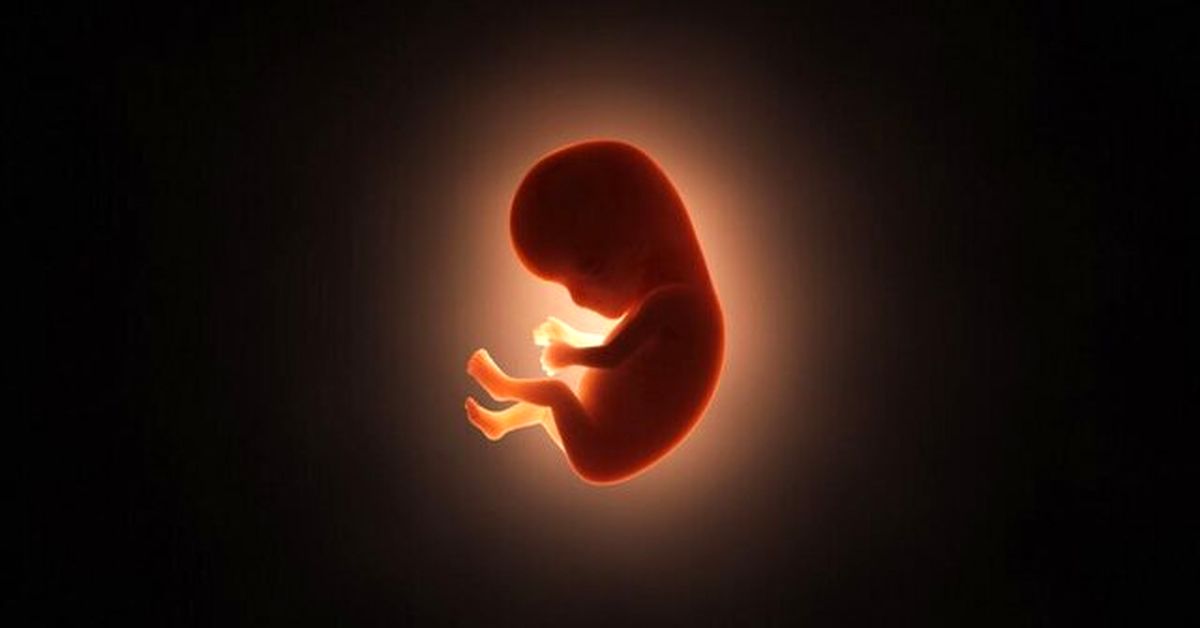 وزارت بهداشت خبر داد: ارسال بیش از ۱۰۰ پرونده در زمینه سقط غیر قانونی به مراجع قضایی