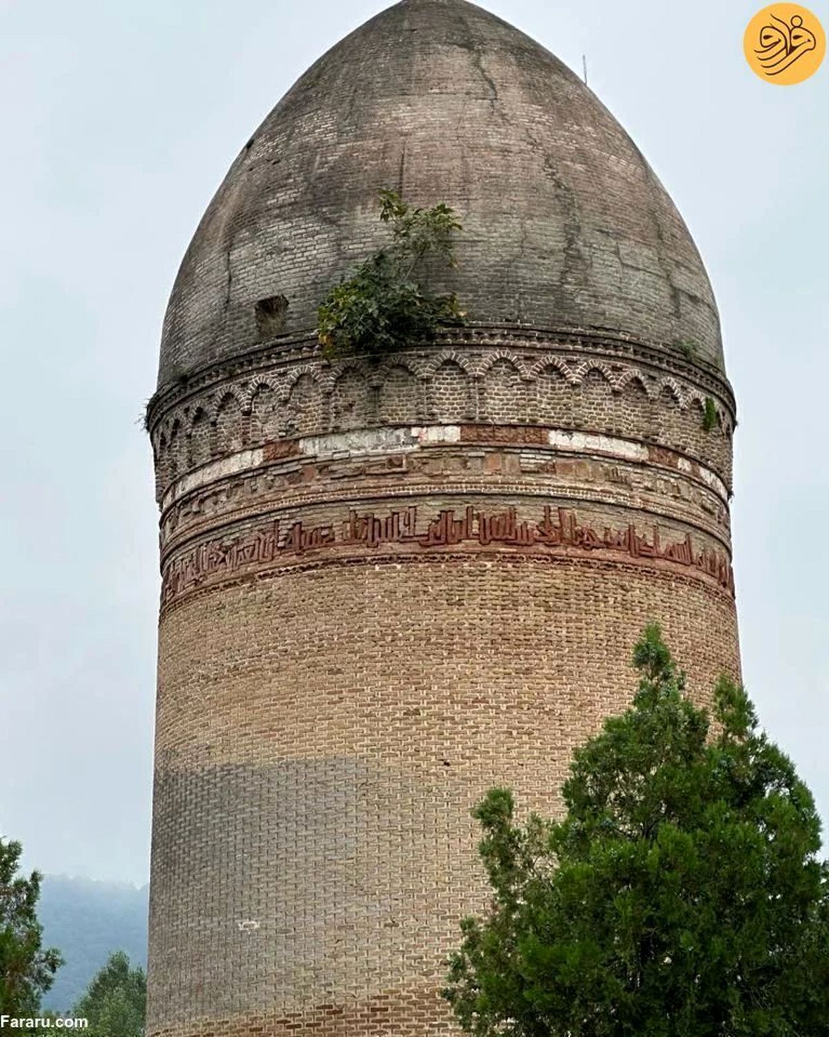 عکس؛‌ درختی که اثر تاریخی ایران را تخریب کرد