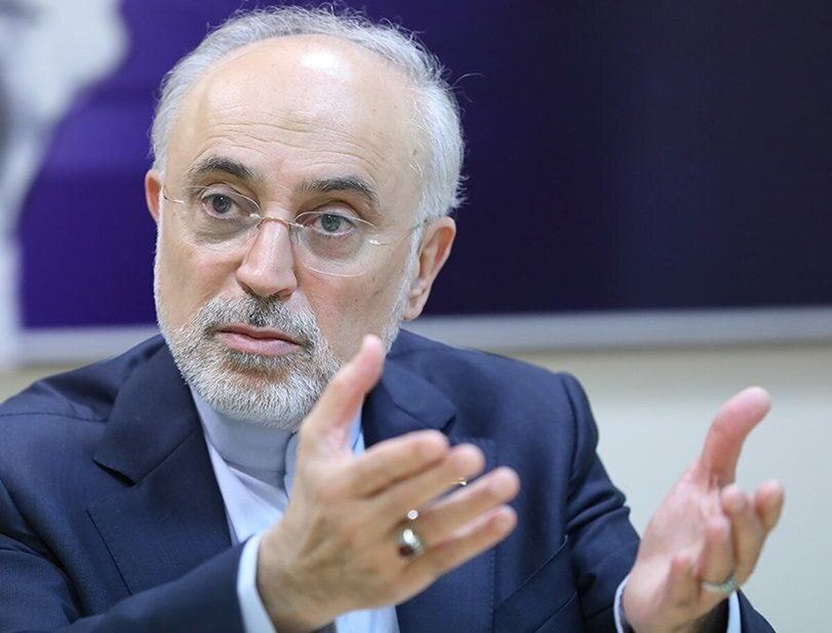 علی اکبر صالحی:پاسخ به اقدامات تروریستی رژیم صهیونیستی الزامی بود/ اگر این کار انجام نمی‌شد،این رژیم بطور تدریجی عرصه را بر ایران تنگ می‌کرد