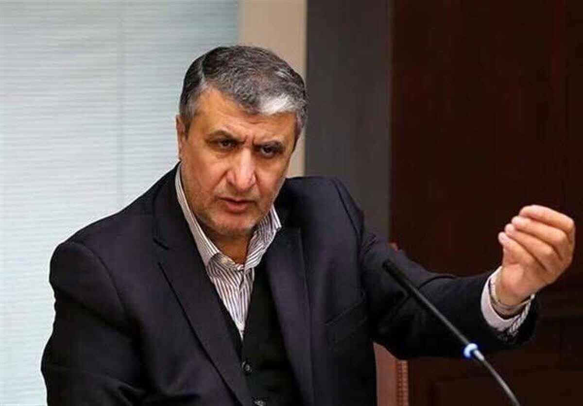 رئیس سازمان انرژی اتمی: مشکل غرب با شخص اسد نبود