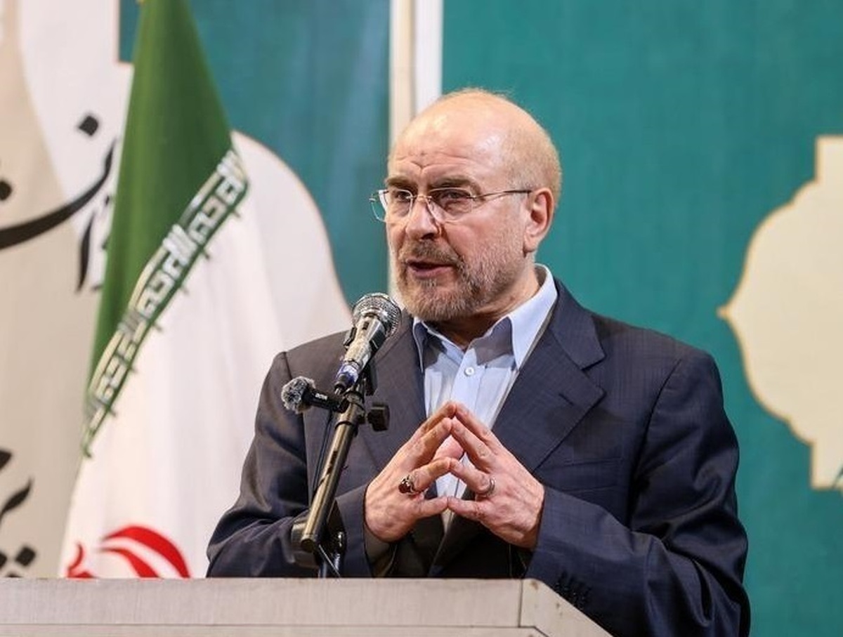 شورای عالی امنیت ملی مصوبه دارد که اگر موضوعاتی سبب چالش و تنش شود، دبیرخانه می‌تواند آن را متوقف کند