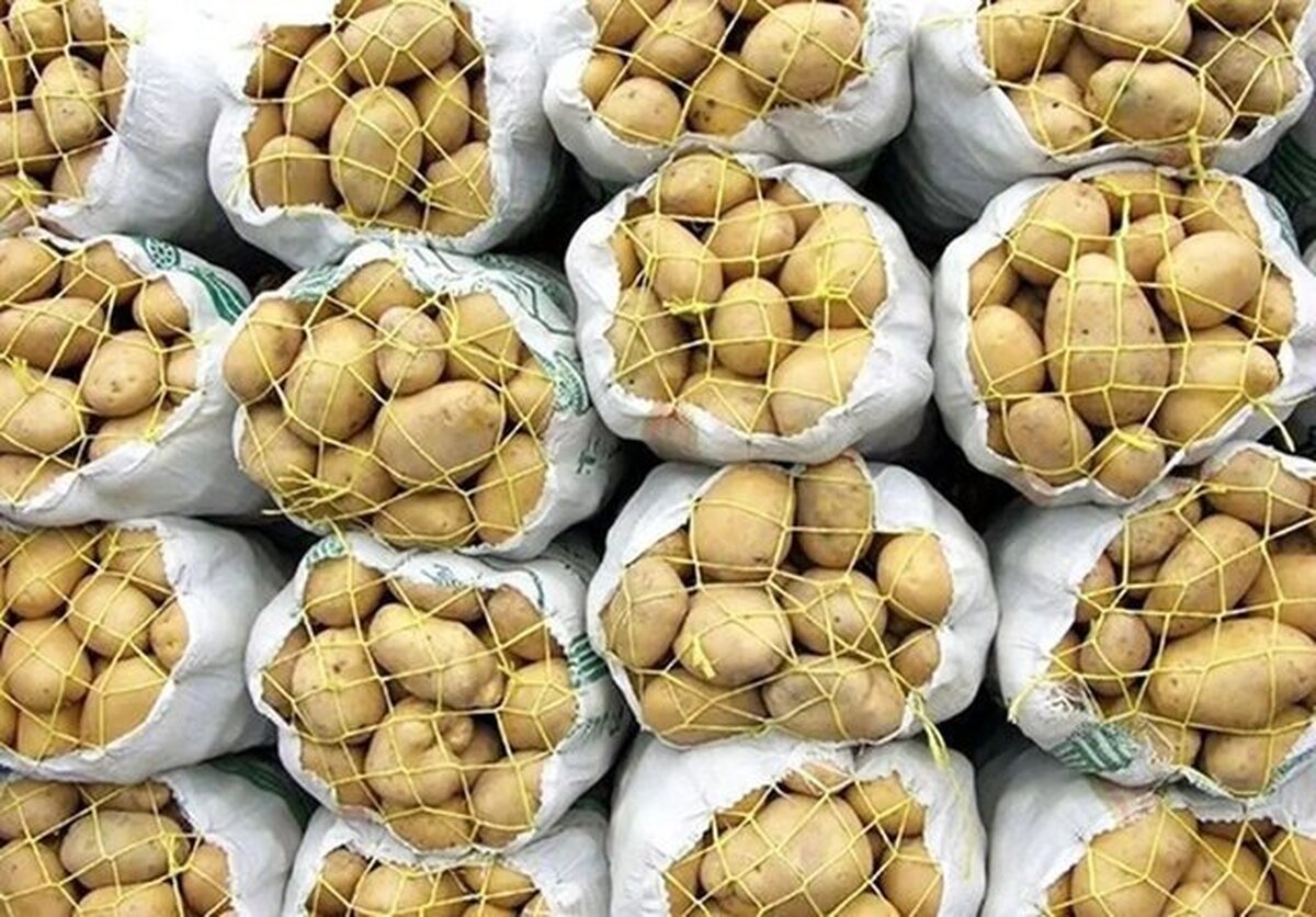 قیمت سیب‌زمینی رکورد زد
