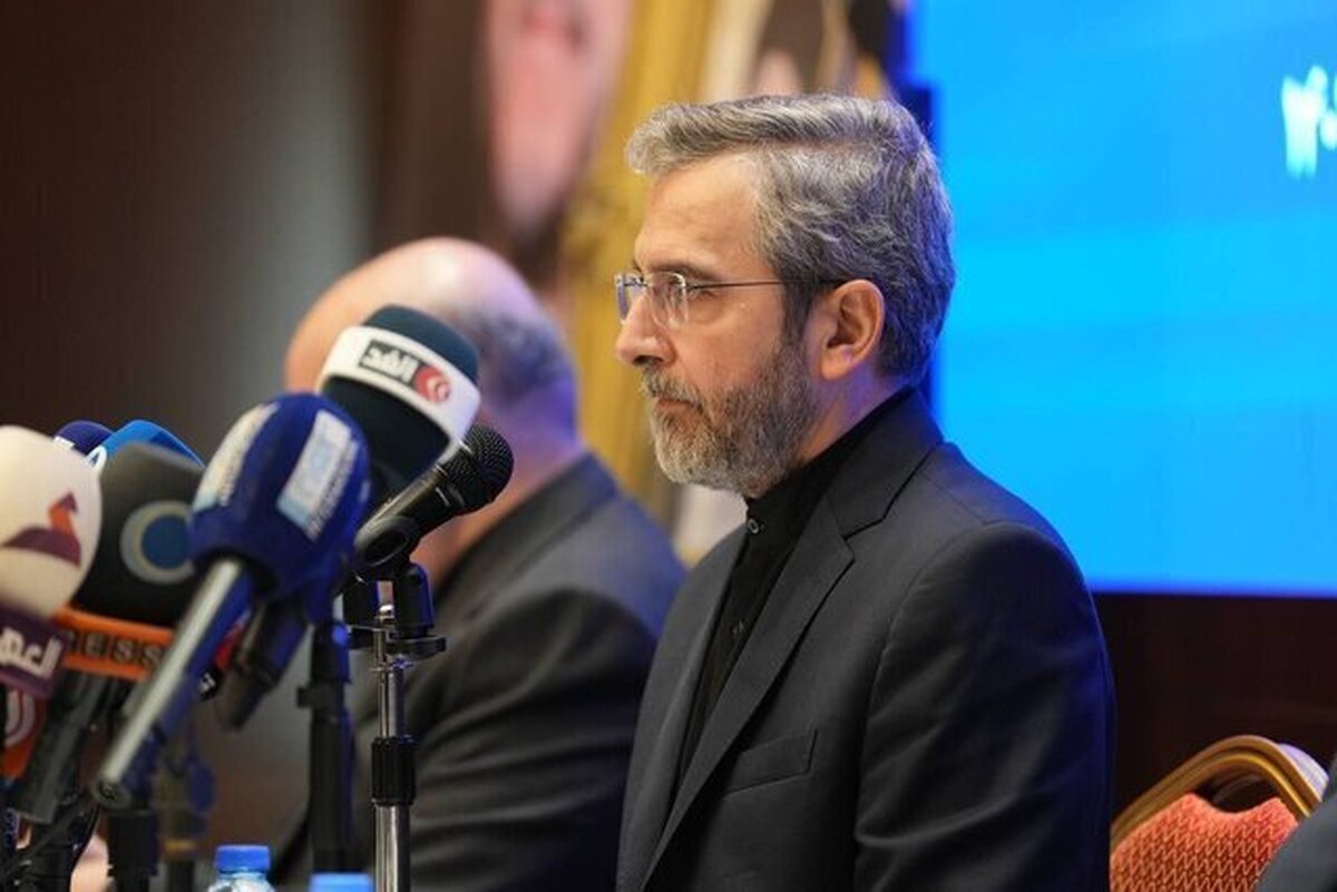 توضیحات باقری در مورد رایزنی‌های تهران و واشنگتن در عمان پیش از سقوط بالگرد حامل رئیسی