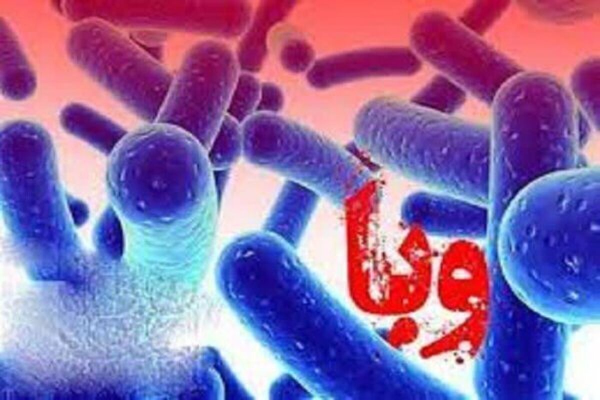 شیوع این بیماری در نیجریه جان ۲۱ نفر را گرفت