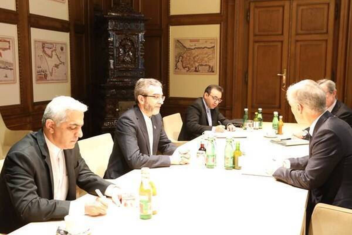 علی باقری به وزیر خارجه اتریش: سکوت برخی کشورهای اروپایی در قبال اقدامات تروریستی اسرائیل موجب گستاخی باند جنایتکار حاکم در تل‌آویو خواهد شد