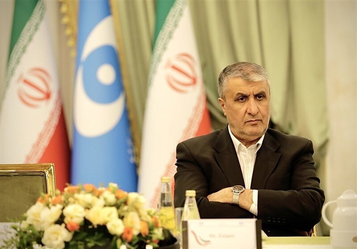 آژانس در سال ۲۰۲۴ بیش از ۴۵۰ بازرسی انجام داد | ۲۵ درصد بازرسی‌ها از تأسیسات ایران بود