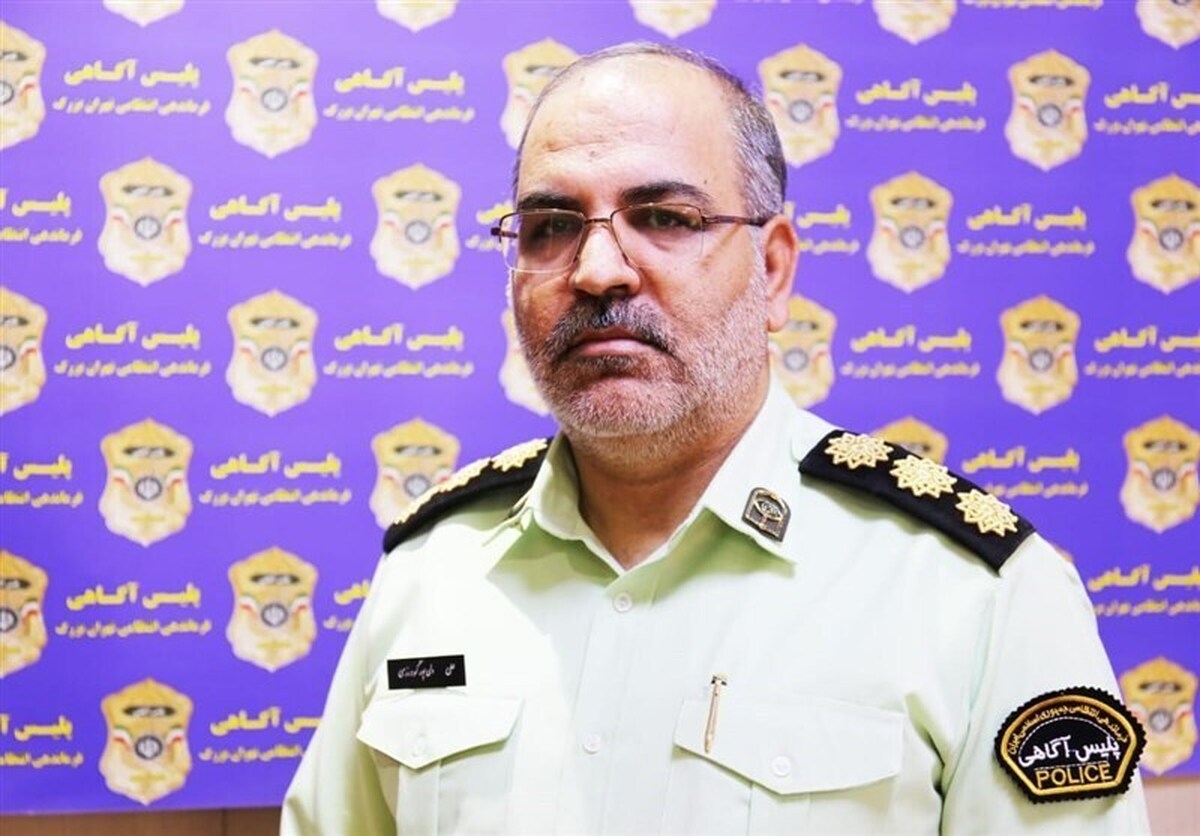 ویدیو؛ اظهارات رئیس پلیس آگاهی تهران خطاب به پدر مرحومه «الهه حسین‌نژاد»