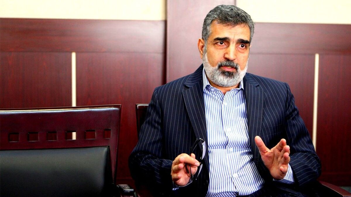 کمالوندی: امکان ندارد کشور زیر بار غنی‌سازی صفر یا مینیاتوری برود