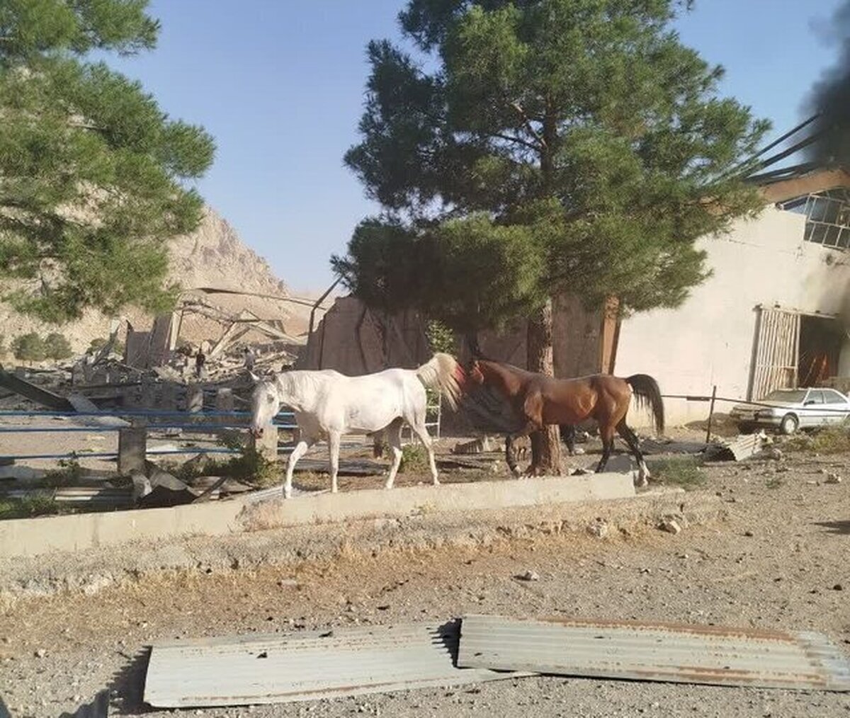 حمله اسرائیل به ۲ اسطبل پرورش اسب در کرمانشاه