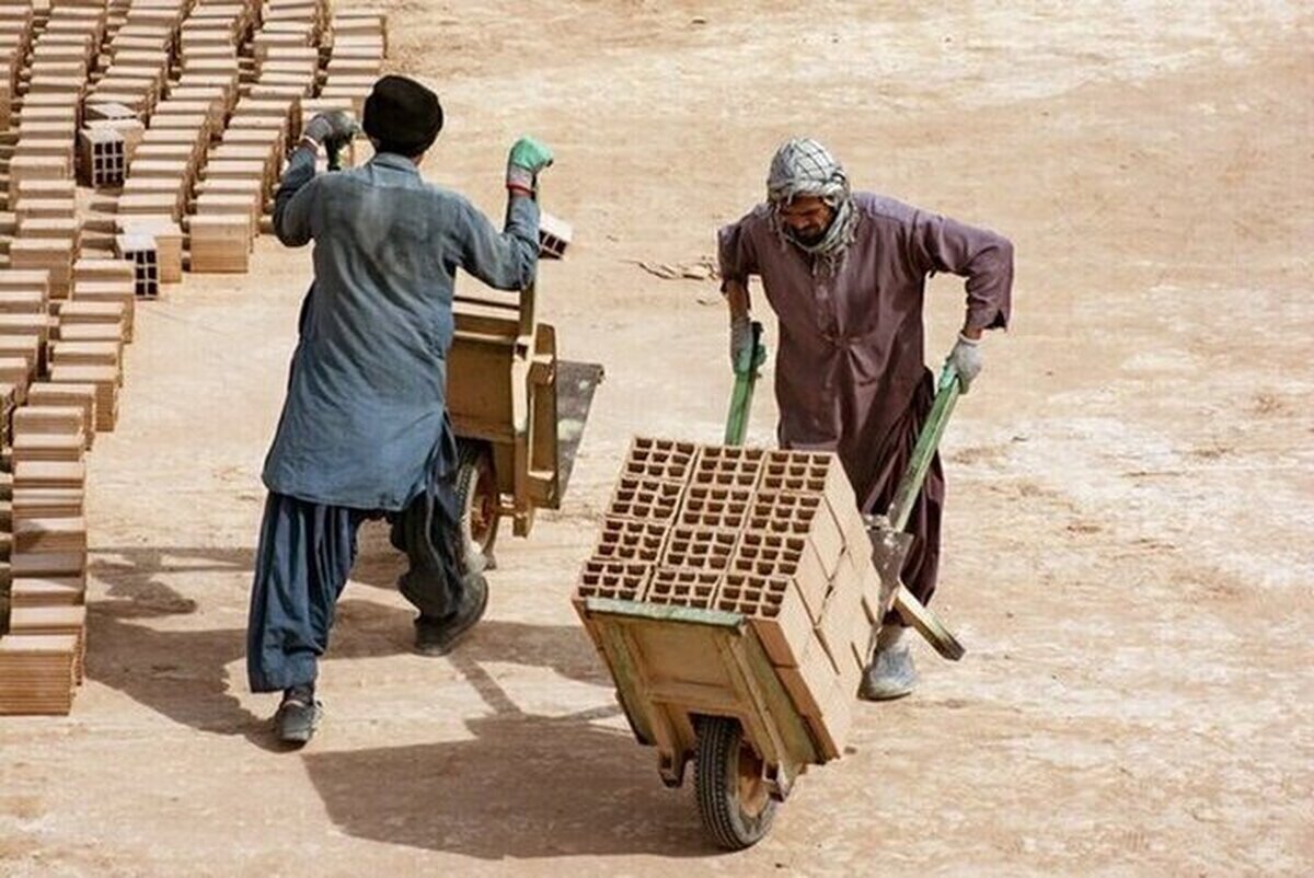 مهاجران غیرمجاز؛ هشدار درباره بازار سیاه کار