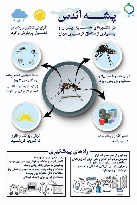 افزایش گرما و رطوبت در کشور؛ هشدار وزارت بهداشت درباره خطر گسترش پشه آئدس