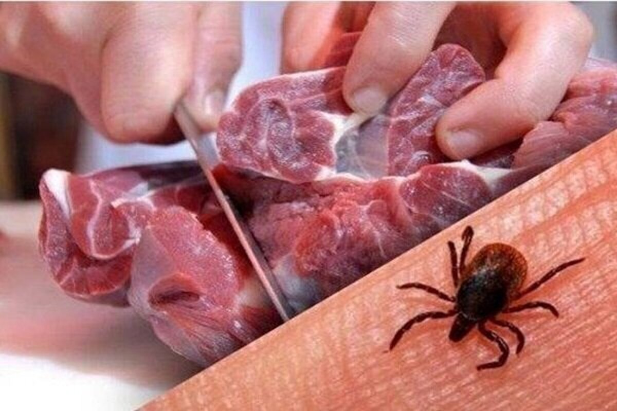 افزایش تعداد فوتی‌های تب خونریزی‌دهنده کریمه کنگو در عراق