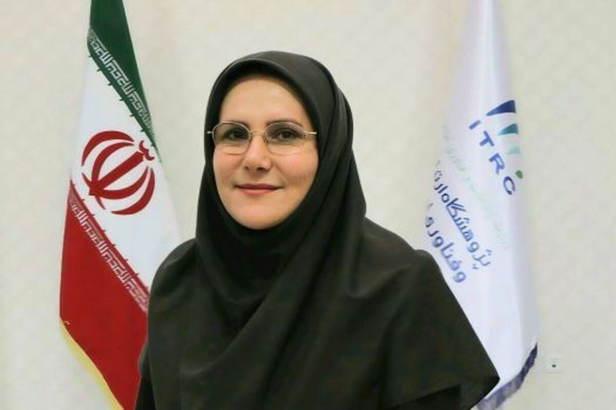 معاون پژوهشکده مطالعات راهبردی فاوا و اقتصاد دیجیتال؛
تحول دیجیتال، شاه‌کلید ارتقای بهره‌وری در بخش دولتی است