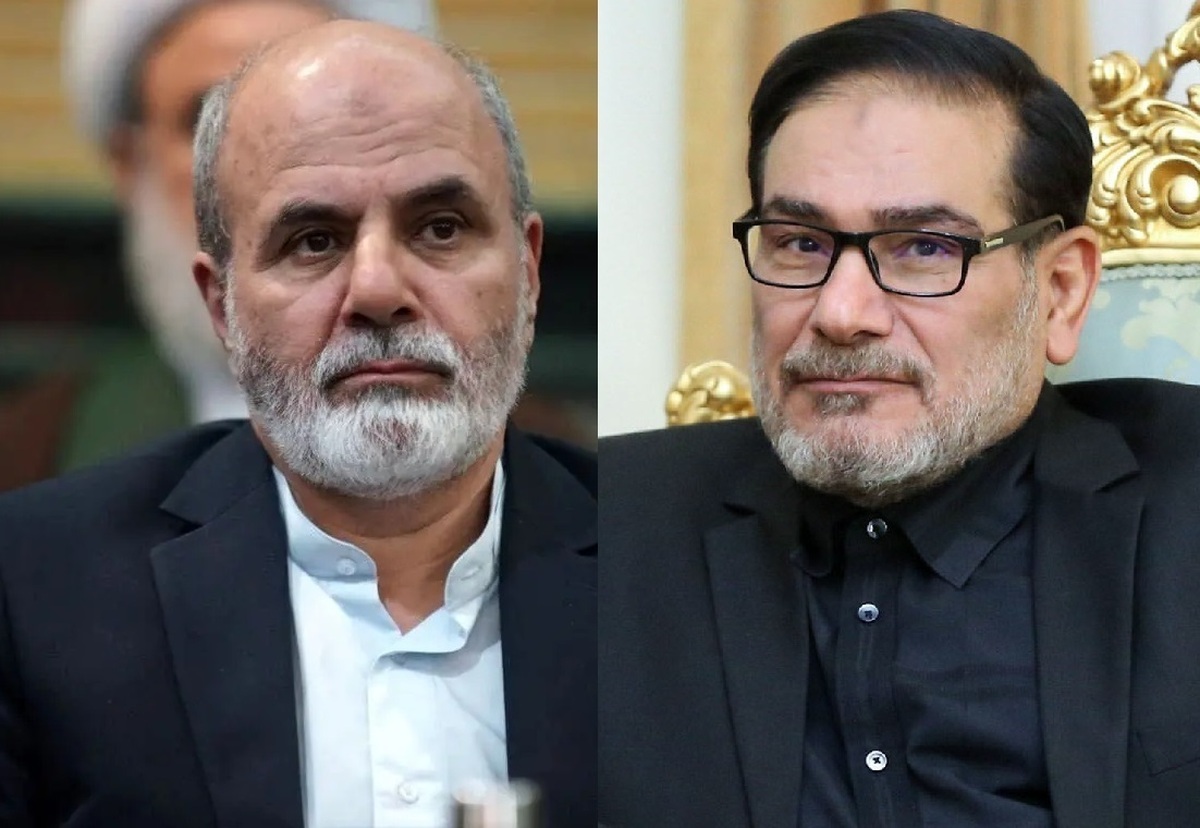 علی‌اکبر احمدیان و علی شمخانی، به عنوان نمایندگان رهبری در شورای دفاع منصوب شدند
