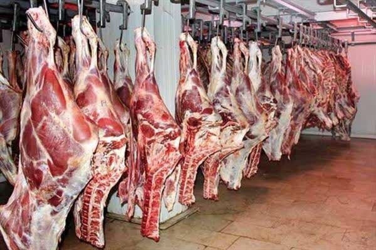 مافیا اجازه نمی‌دهد مدیریت بازار گوشت در اختیار تشکل‌ها باشد