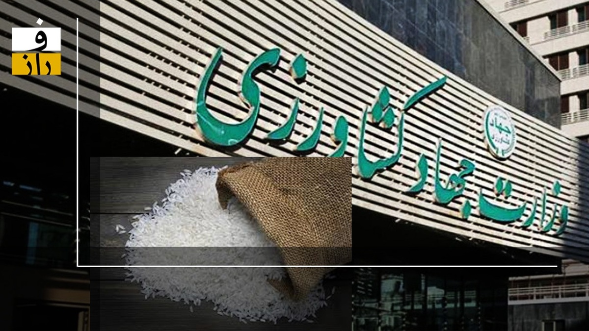 همه چیز درباره ماجرای یک میلیون تن برنج گمشده سال ۱۴۰۱