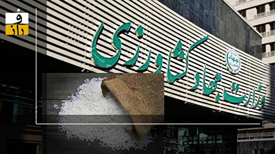همه چیز درباره ماجرای یک میلیون تن برنج گمشده سال ۱۴۰۱