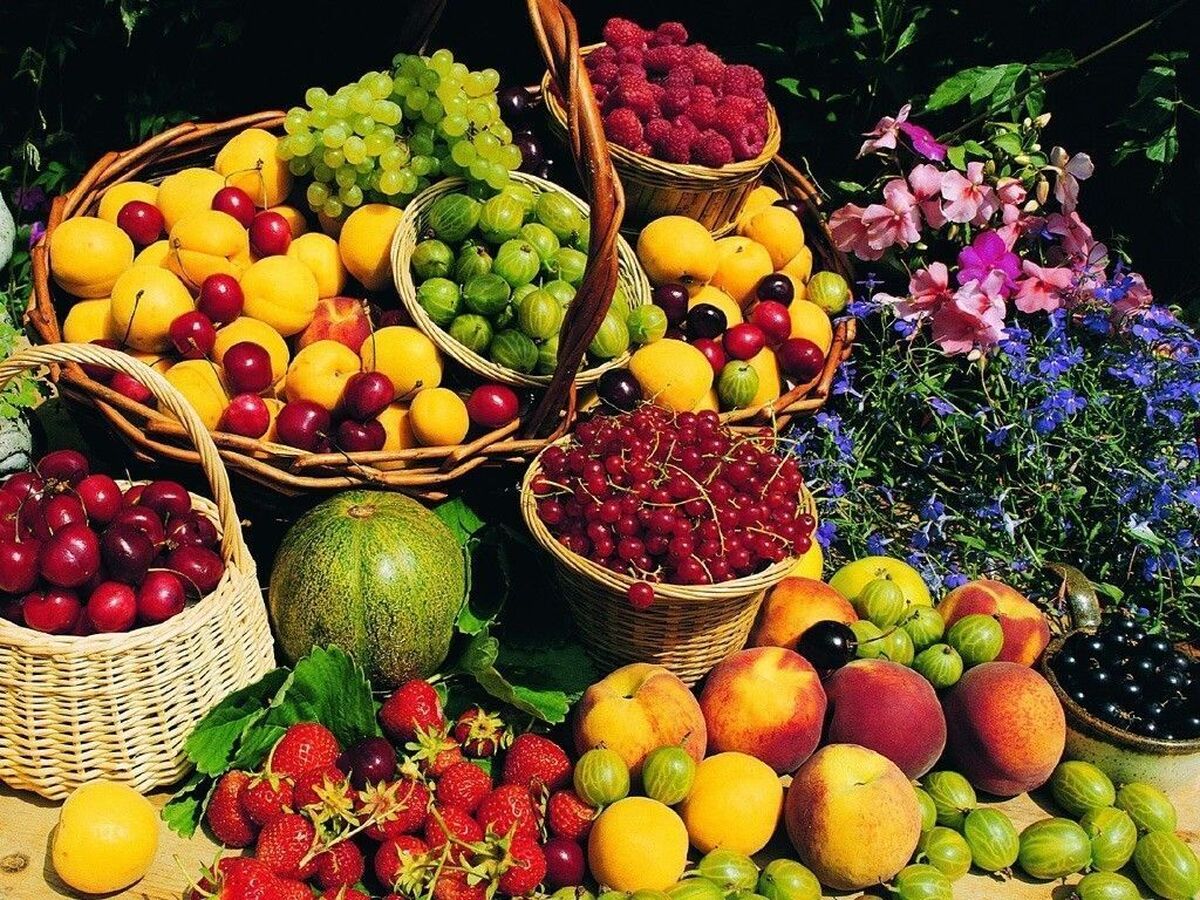 نوسانات قیمت میوه‌های تابستانی کم می‌شود؟
