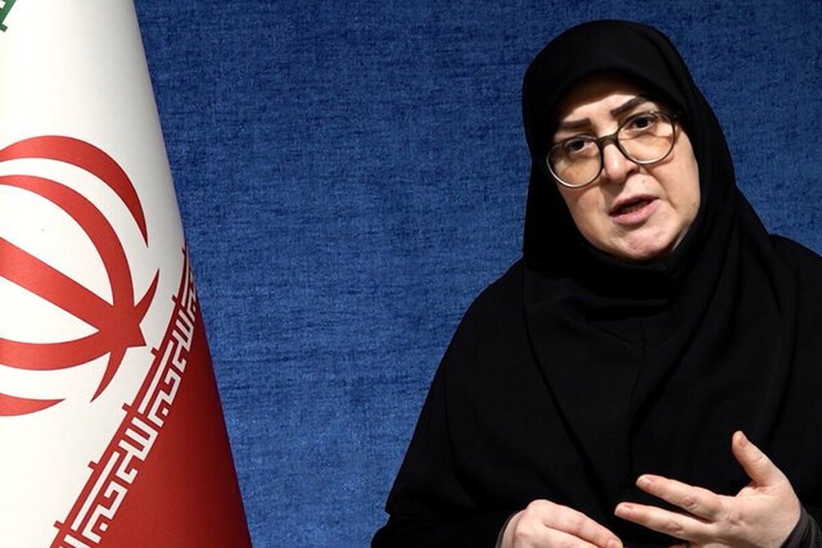 سخنگوی دولت: دولت به استرداد لایحه فضای مجازی رای داد