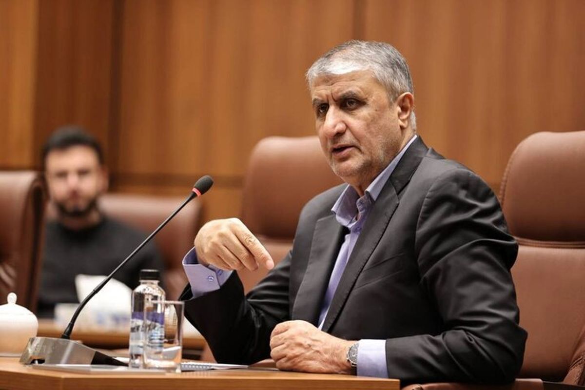 ۲ بازرس آژانس با مجوز دبیرخانه شورای عالی امنیت ملی به ایران سفر کردند و رفتند