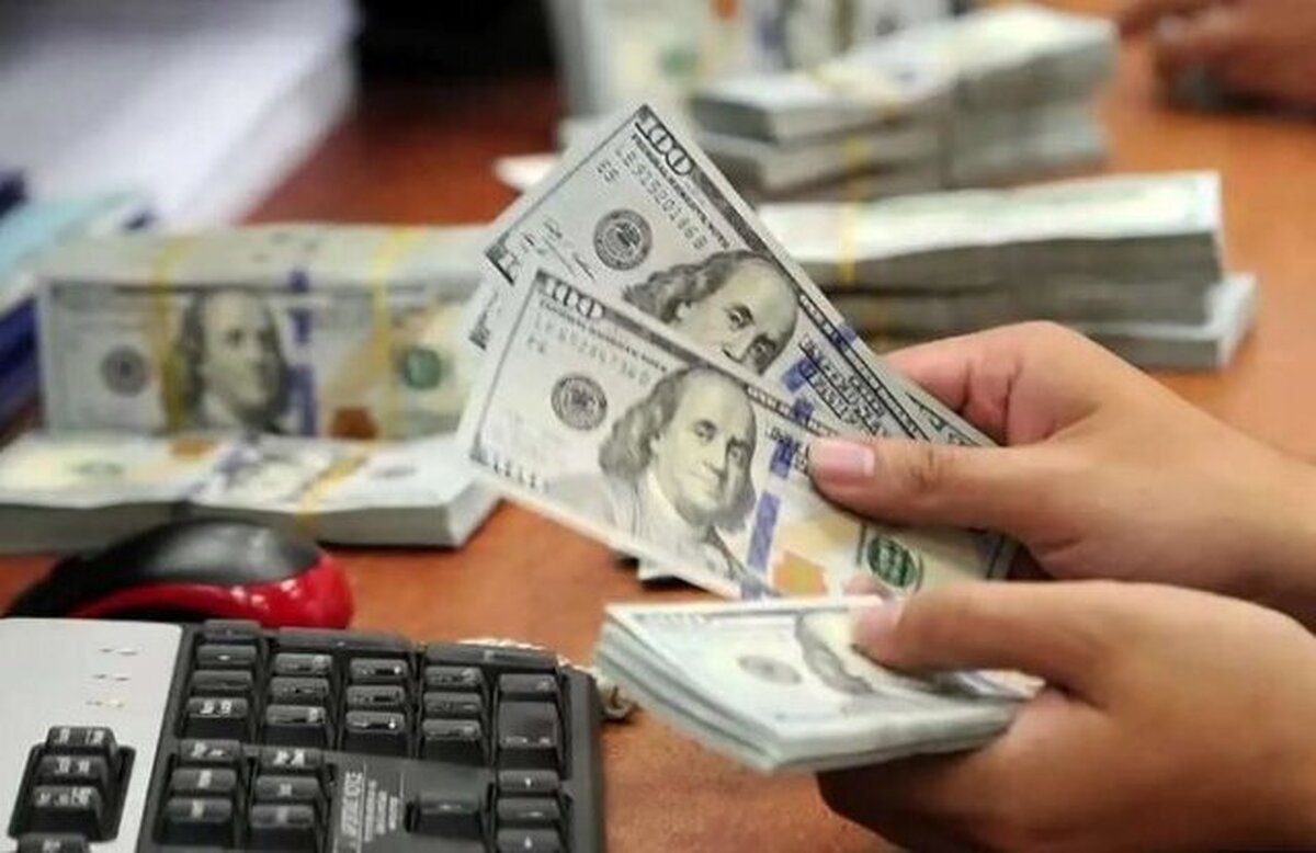 بانک مرکزی چقدر ارز برای واردات کالاهای اساسی اختصاص داد؟