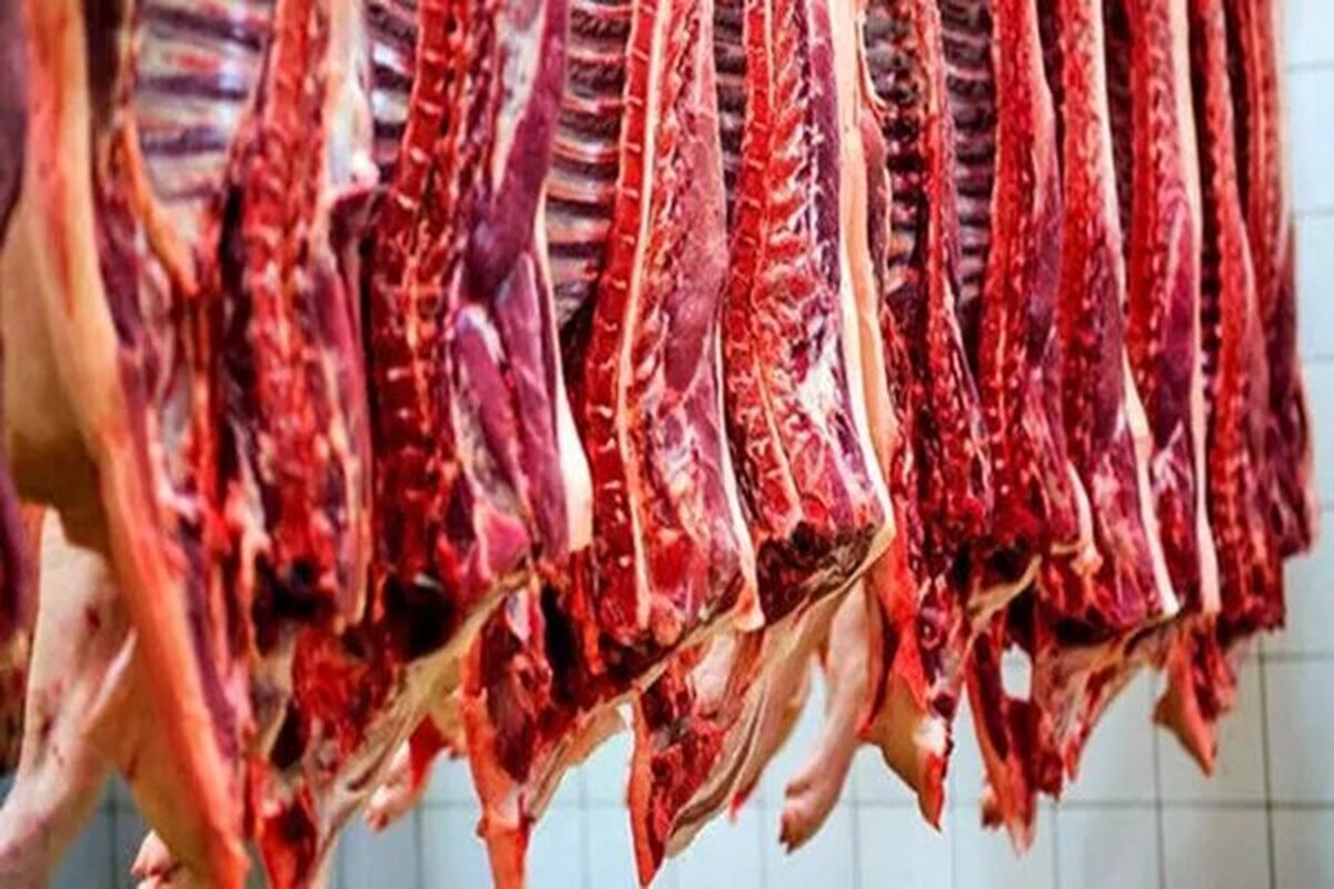 آرامش نسبی در بازار گوشت قرمز