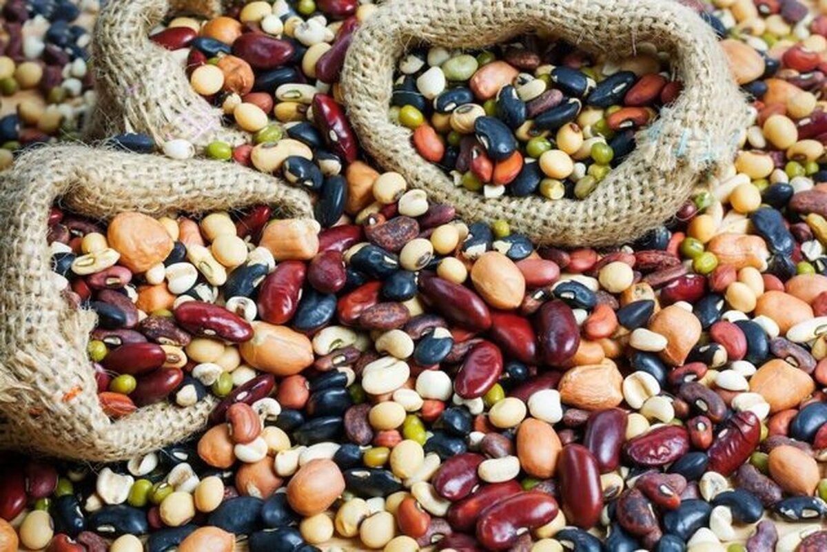 ادامه این روند منجر به افزایش قیمت حبوبات می‌شود