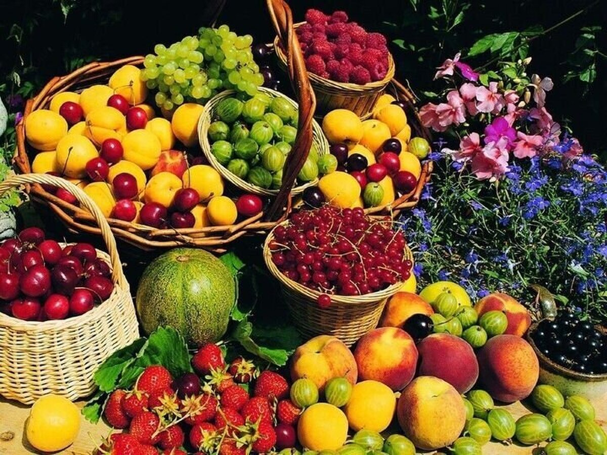 چه کسانی پشت افزایش قیمت‌ میوه و سبزی هستند؟