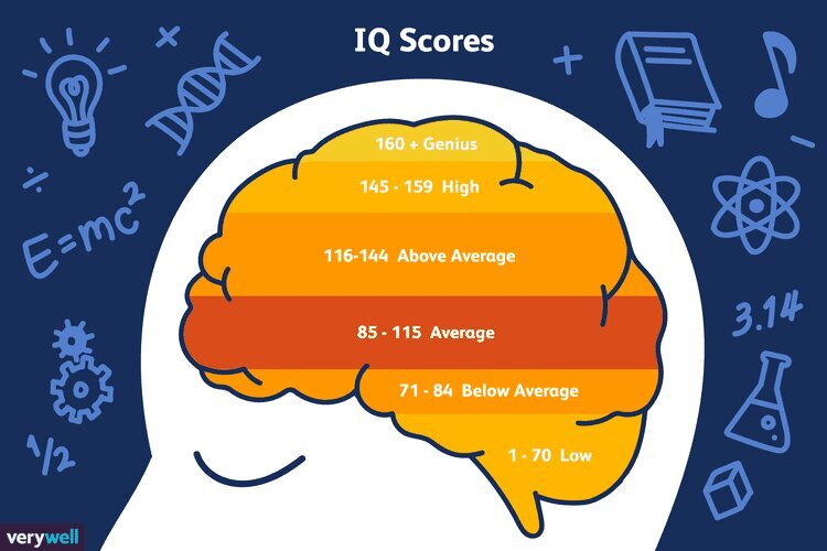 فردی با بالاترین IQ تاریخ؛ باهوش‌ترین انسان جهان در سال ۲۰۲۵ معرفی شد!