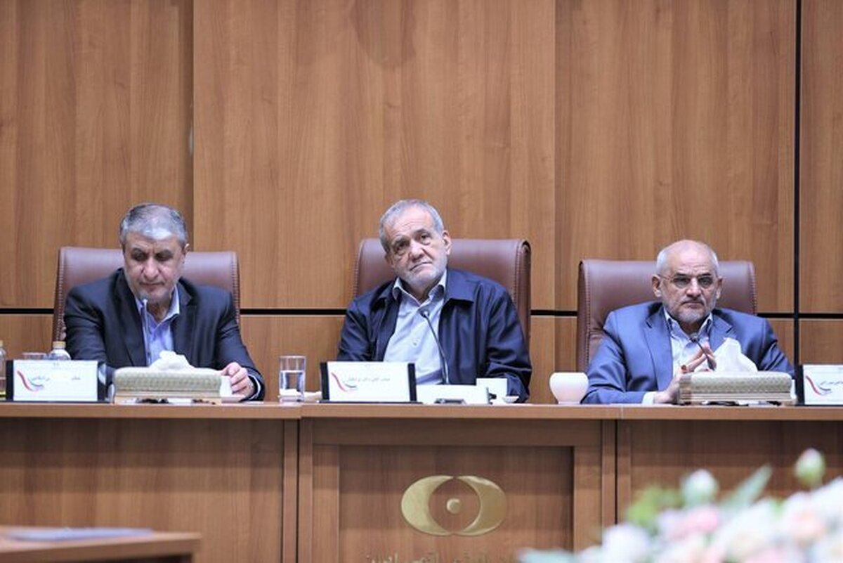 محمد اسلامی در دیدار با پزشکیان: انرژی هسته‌ای در اصل انرژی زندگی‌بخش است