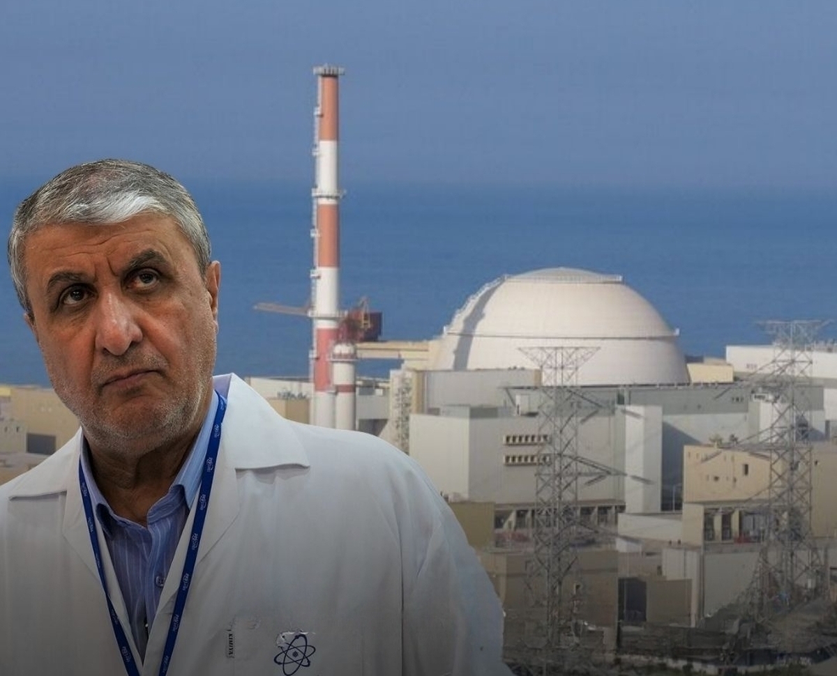 رئیس سازمان انرژی اتمی از ساخت ۸ نیروگاه اتمی جدید با همکاری روسیه خبر داد