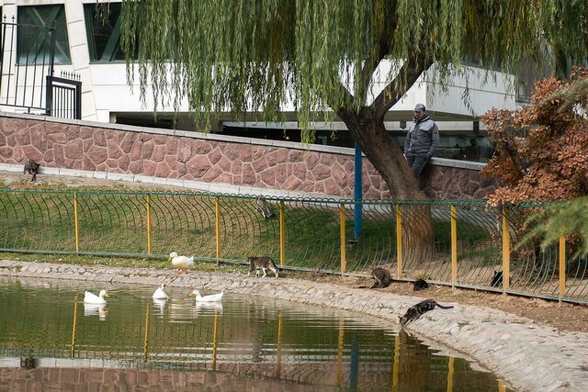 دمای هوا در نیمه شرقی کشور کاهش پیدا می‌کند