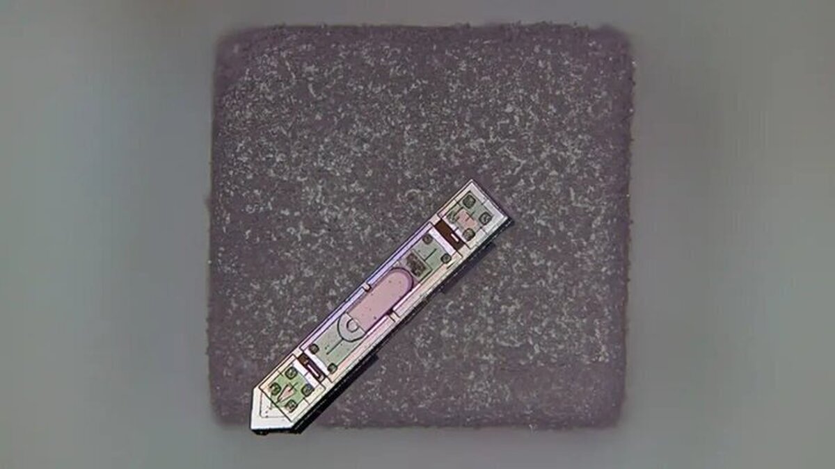 خواندن ذهن با دستگاهی کوچک‌تر از یک دانه نمک!