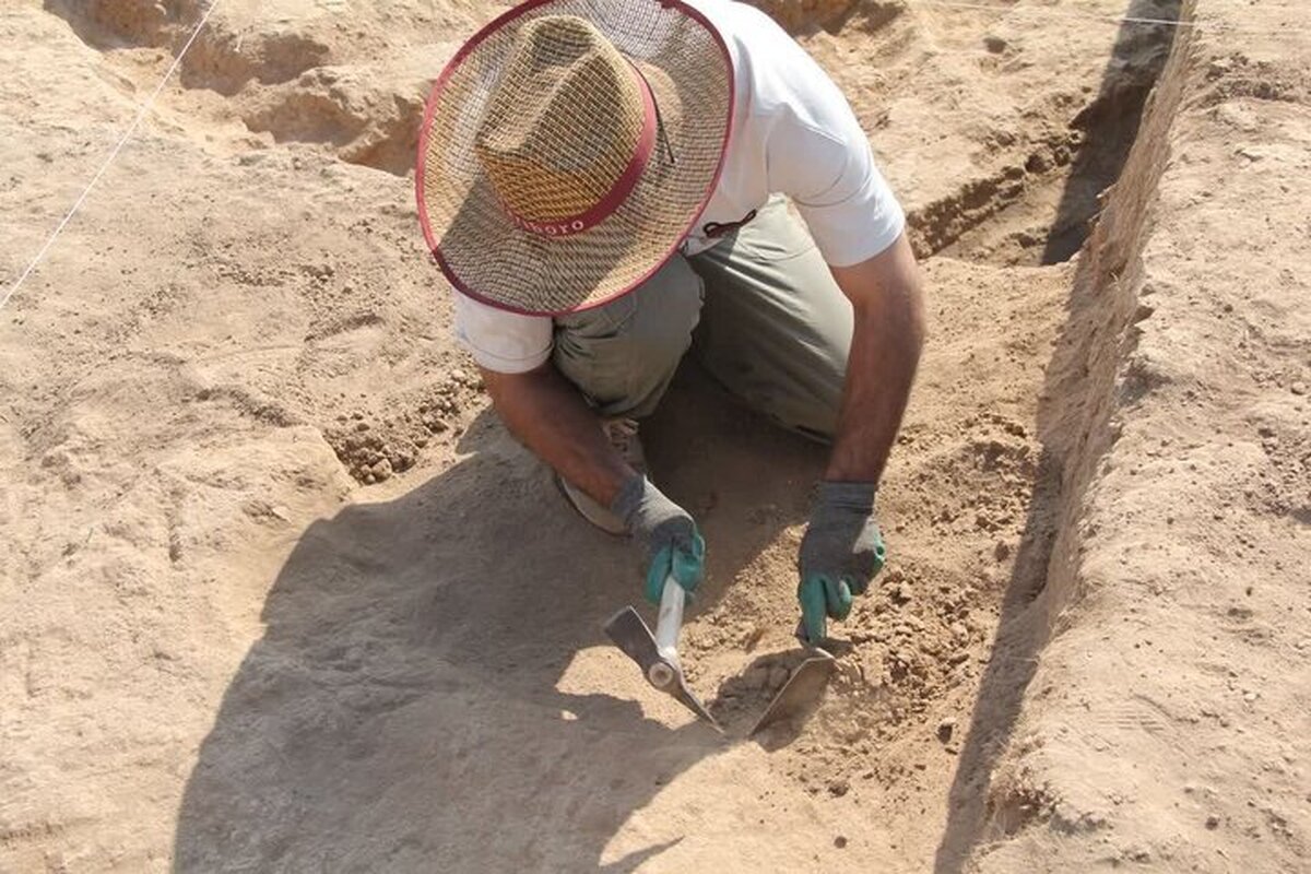 کشف ۸ اسکلت در آبیک حکایت از چه دارد؟