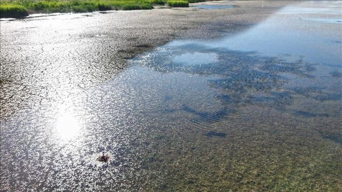 راه‌حل فوری عبور از بحران آب اجرای مفاد سند ملی امنیت غذایی است