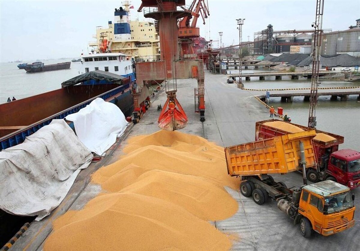 سازمان بازرسی به وزارت کشاورزی درباره نهادههای دامی هشدار داد