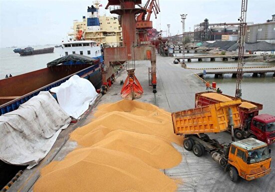 سازمان بازرسی به وزارت کشاورزی درباره نهاده‌های دامی هشدار داد