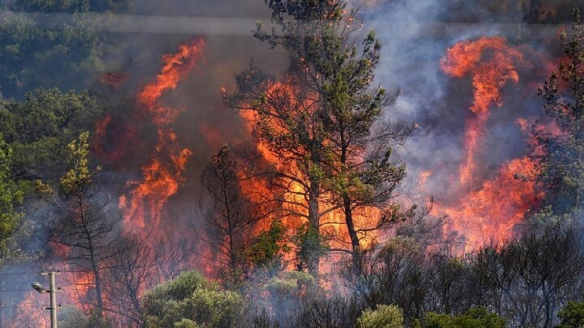 معاون رئیس‌جمهور درباره آتش‌سوزی جنگل چالوس: در صورت نیاز از روسیه هم کمک می‌گیریم
