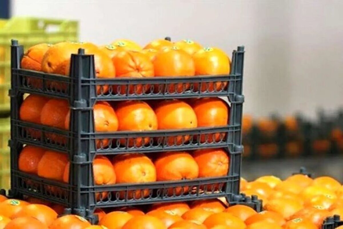 ماجرای پرتقال سمی در ایران حقیقت دارد؟