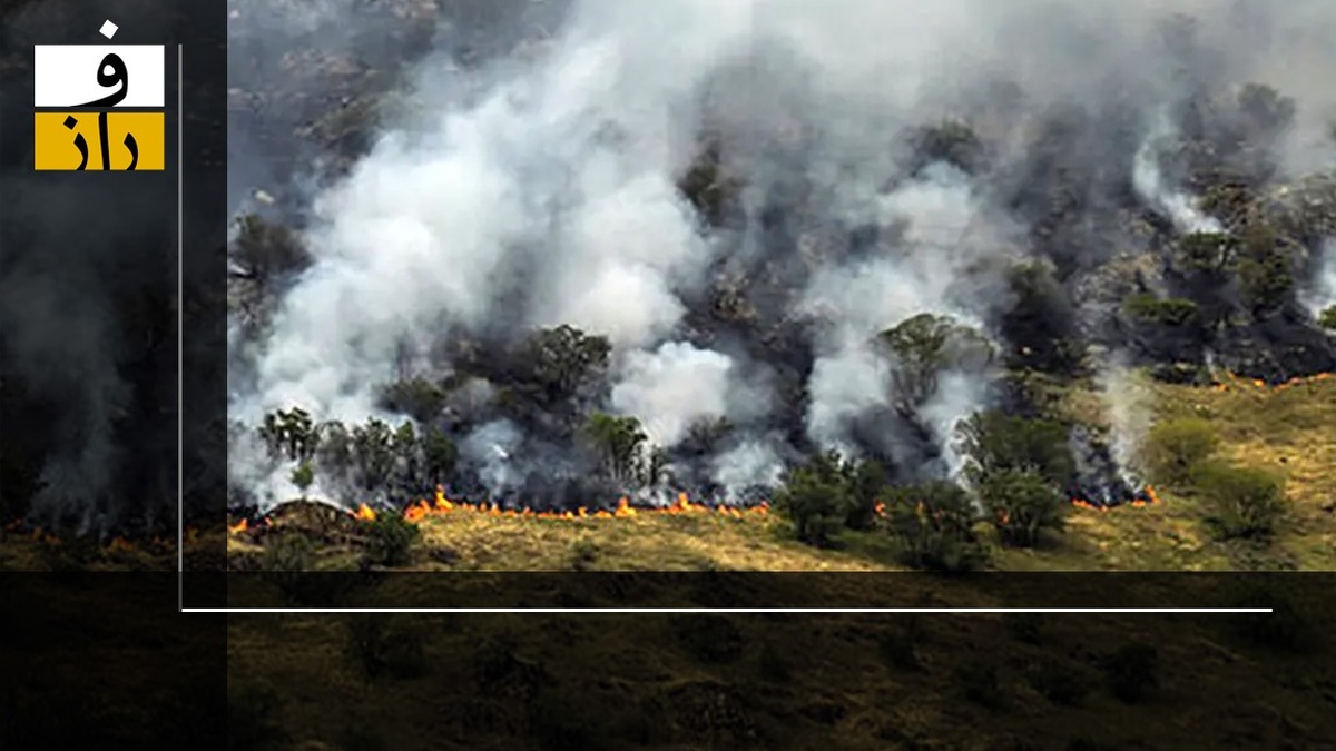 سازمان محیط زیست چقدر در آتش‌سوزی‌های هیرکانی مقصر است؟