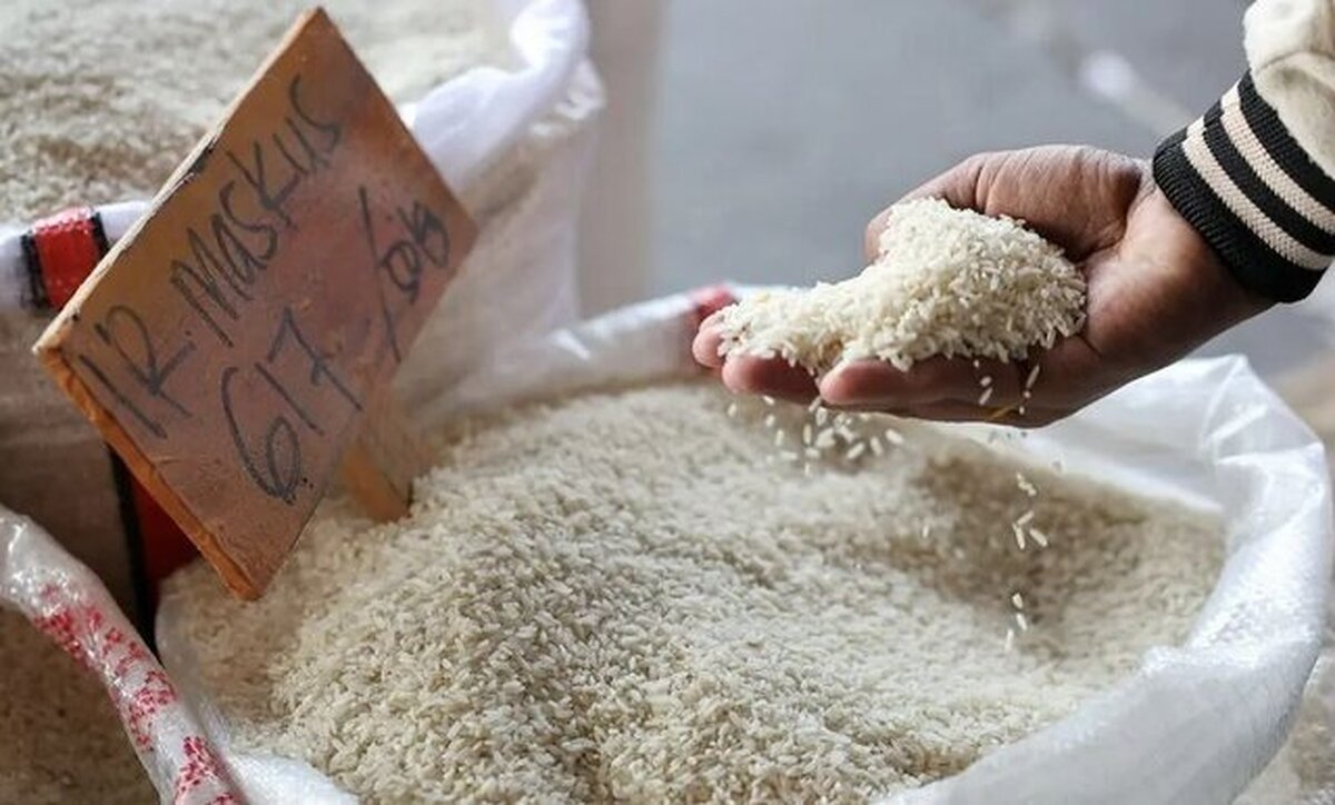 قیمت برنج نسبت به ماه قبل گران‌تر شد